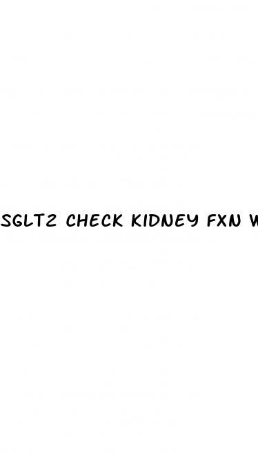 The Victory Center | Sglt2 Check Kidney Fxn With Flozin Diabetes Meds